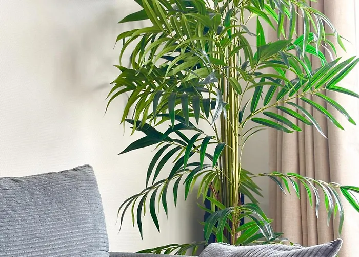 Le Rivage, Balcon & Wifi En Centre-ville, Apartamento